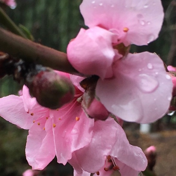 CHAT POST My style from poshmark - Picture 16 of 16